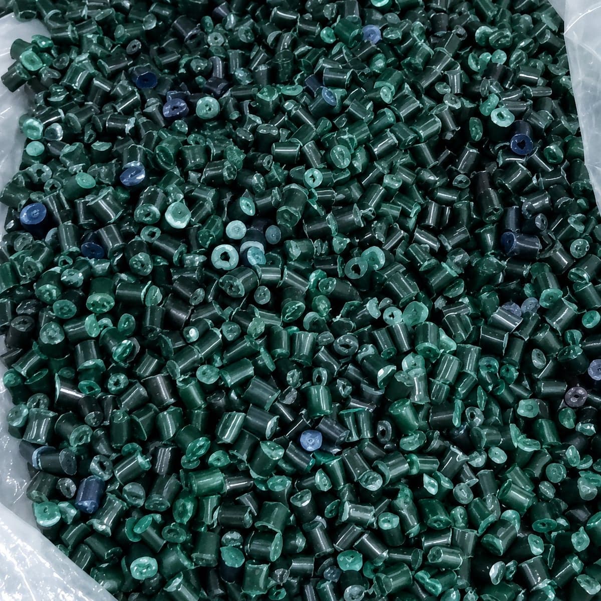 Green/Navy rPP